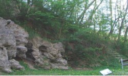 Grejs Lokalhistoriske Forening